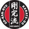 Adidas Kumite Fighter Uniform and Club Badge - Adult